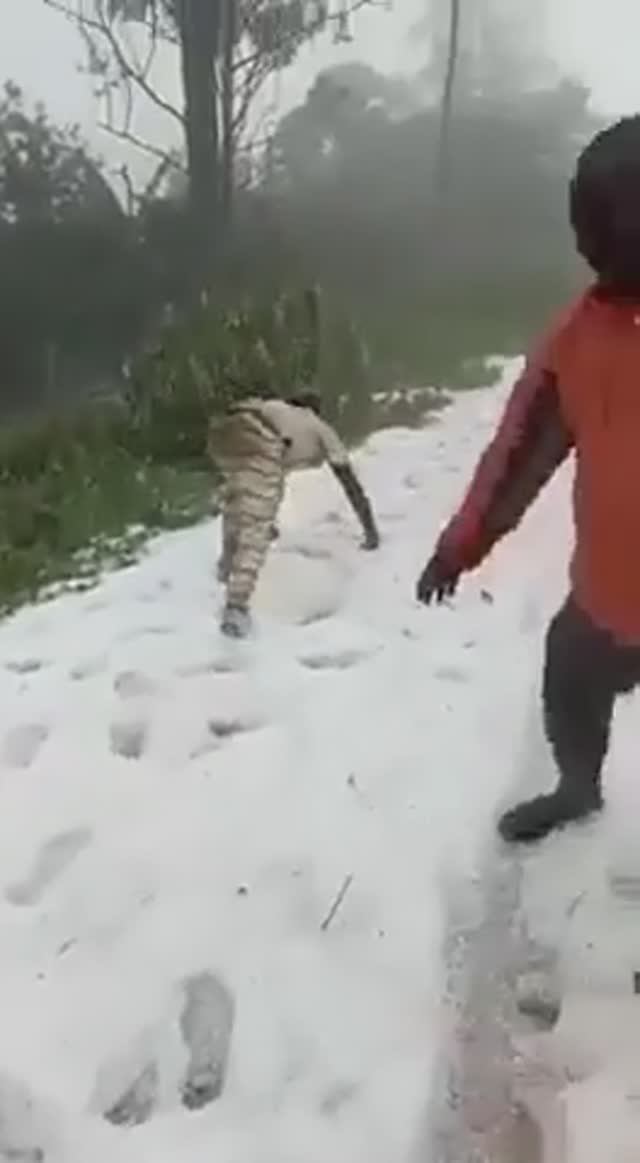 Снег в Камеруне