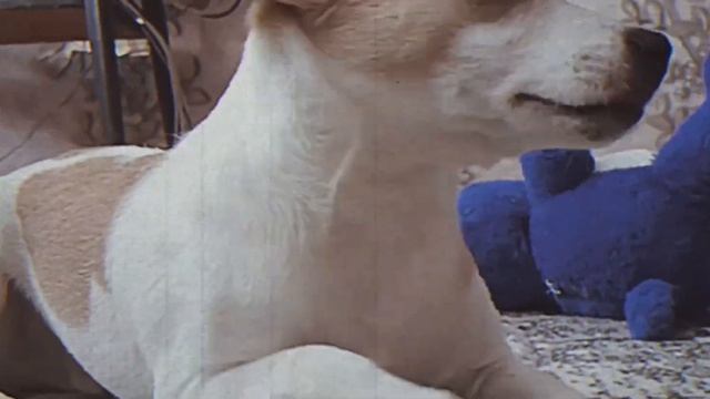 Полина Малина ♥️ и Лаки