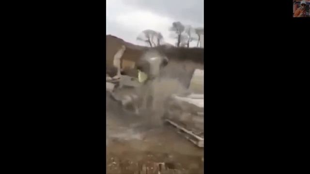 Приколы  со строителями.
