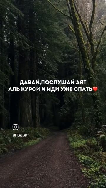 Аль Курси