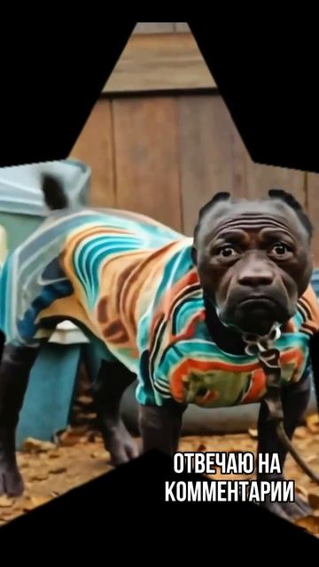 собакочеловек