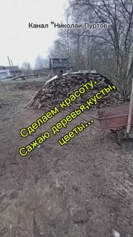 Сделаем мир (территорию у дома) краше🌳☘️🌿