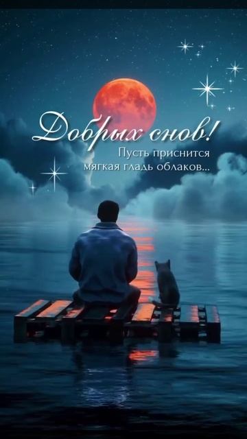 Спокойной ночи