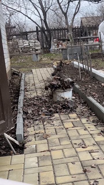 На даче