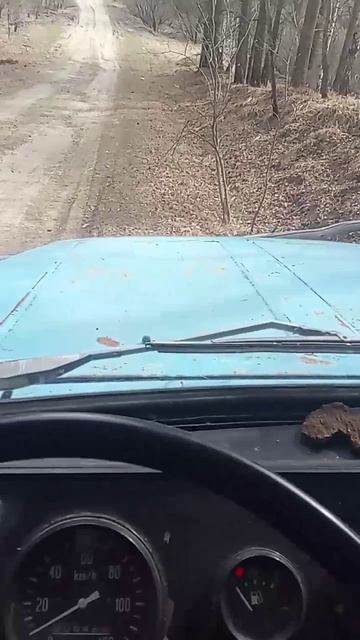 Заготовка дров 30.04.25