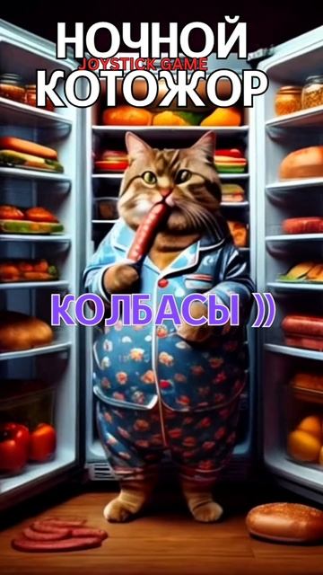 Ночная диета КотоЖор 2 серия, КотоПес смотреть наглый кот не спит,смотреть на JoyStickGame#shorts