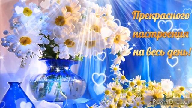 Всем хорошего дня ! Начни новый день с хорошего настроения!