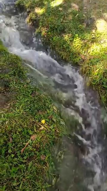вода течёт по речке