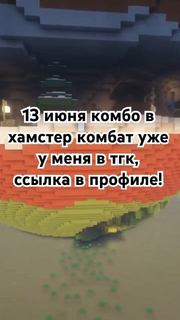 Комбо 13 июня в Хамстер Комбат!