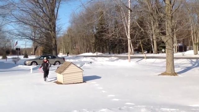 Атака индюков