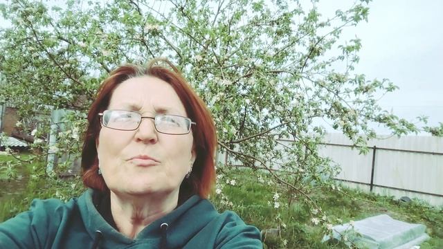 Н Гумилев  У меня не живут цветы