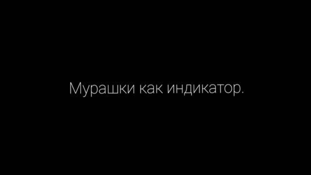 Стих