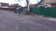 Pong Lenis comedy Vine 12 Вайн 12 "Зомби 2020".