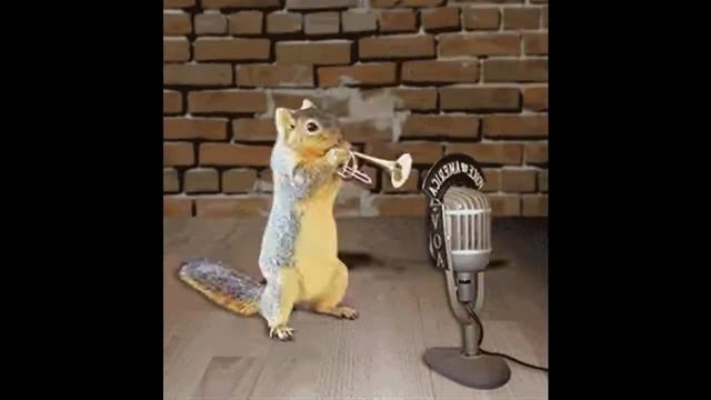 (Нина Симоненко) ХОРОШЕГО НАСТРОЕНИЯ ! УЛЫБНИСЬ !   позитивчик