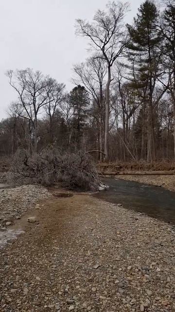 Приморский край река Уссурий.