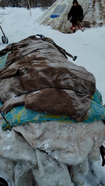 Какие бывают нарты у оленеводов? Часть 2. Для продуктов и груза