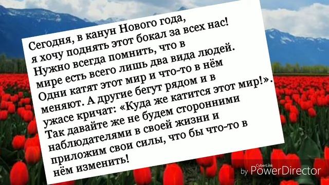 Тост поздравление с Новым годом / Поздравляет жена/ Тосты к Новому году / Книга счастья