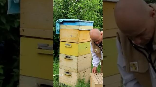 делаем стартер по выводу маток