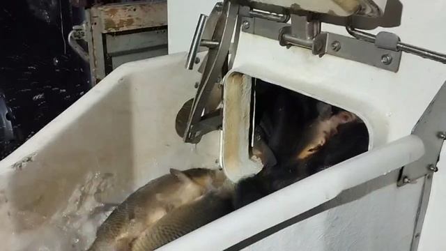 1000028810.mp4