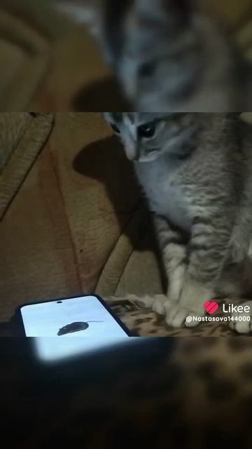 1000022204.mp4