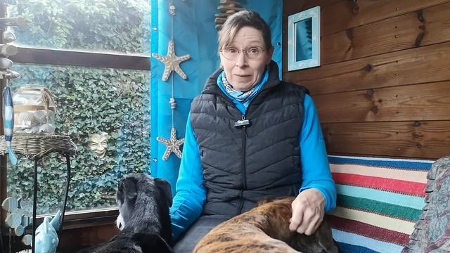 Feeling safe part 1: Help your dog to feel safe