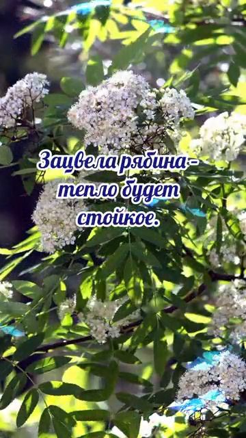1 мая# Кузьма огородник# приметы и обычаи