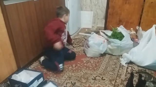 VLOG: большая распаковка от Дениса/съездили в цирк/накупили продуктов