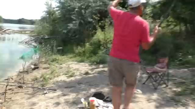 Толстолобы выскакивают на берег и клюют на сгущенку. My fishing