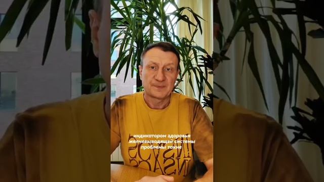 От чего зависит качество и выробатка желчи