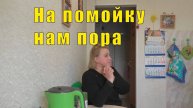 ВОТ И ОЛЬЧИК /НА ПОМОЙКУ НАМ ПОРА/ 27 апреля 2025