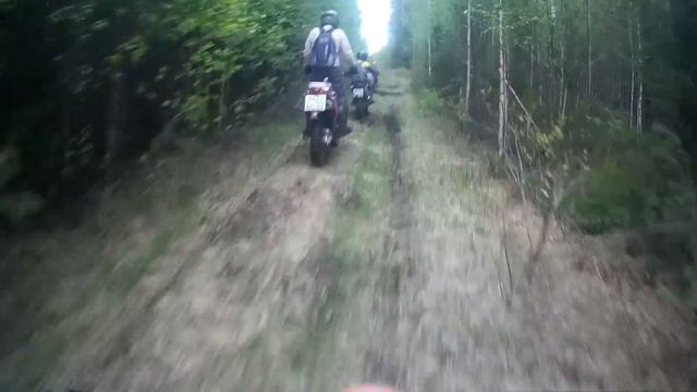 По лесу и болотам на китайских эндуро, первые впечатления MOTOLAND WRX250KT и KAYO K1.
