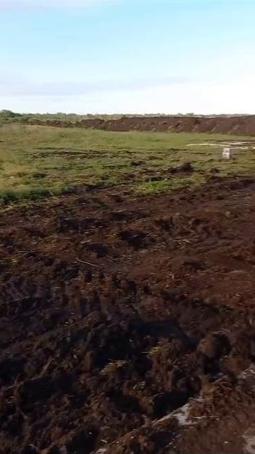Погрузка Рязанского чернозема