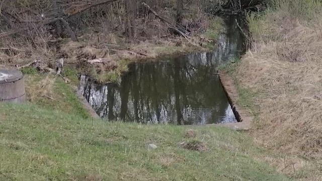 30.04.2025.Усадьба Парк Кино Ляхово.Парк Кошек. Домодедово.Набережная имени Героев Специальной Военн