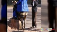 Топ самых ржачных фото ))) funny animals top))))