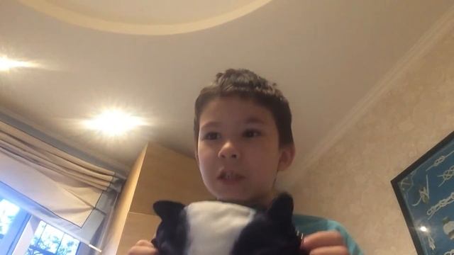 Прикольные сумки