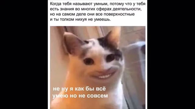 Лютые приколы ! Батя