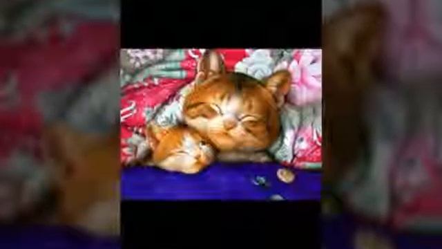 Ты не пожелаешь мне спокойной ночи...