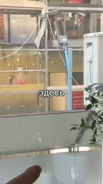 1000039249.mp4