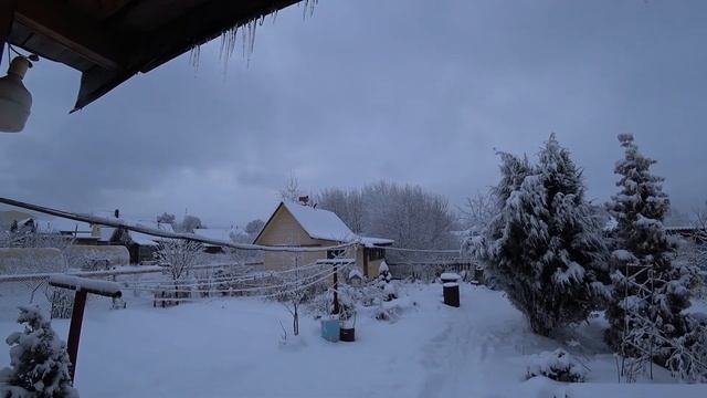 VLOG: То снег то дождь/ порядок в курятнике/ отбивные из печени