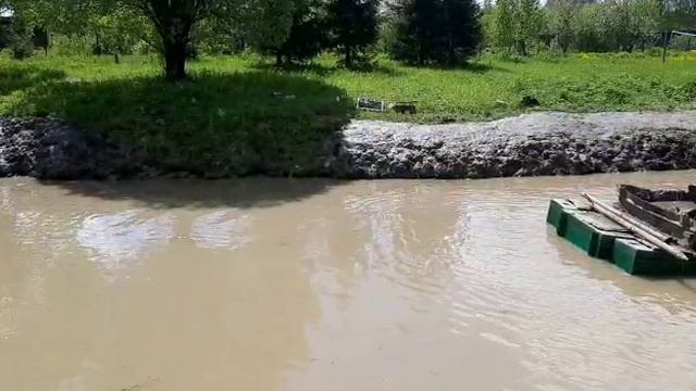Очистка деревенского пруда в СНТ Руть. Было полностью заросшее камышом и заилено.