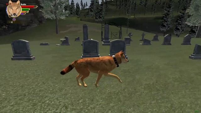 WolfQuest: AE | Lost River DLC | Как получить достижения Another Dam Achievement & Trekker