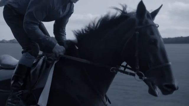 СКАЧКИ  Longines представляет скачки 2014