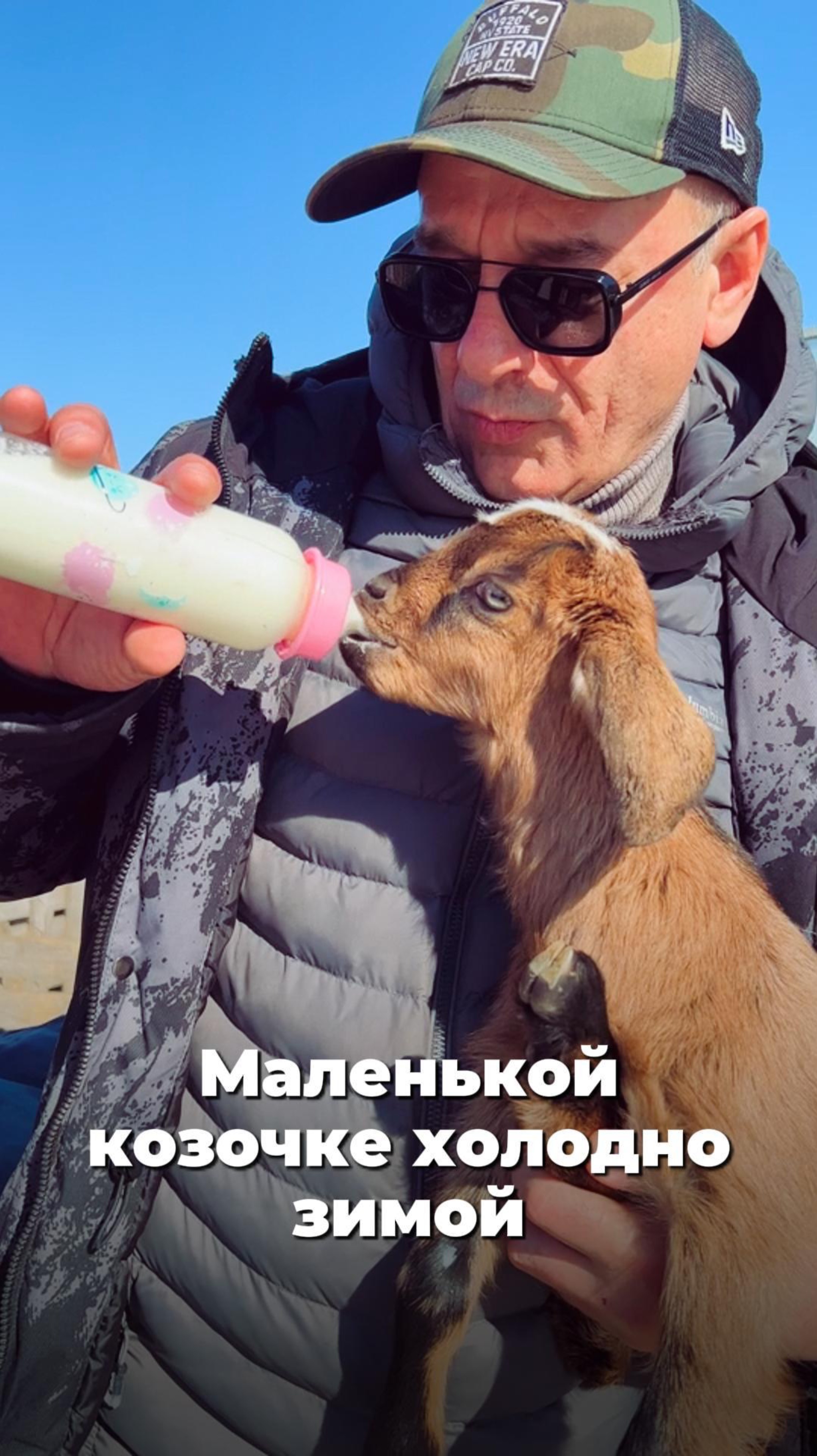 Коза