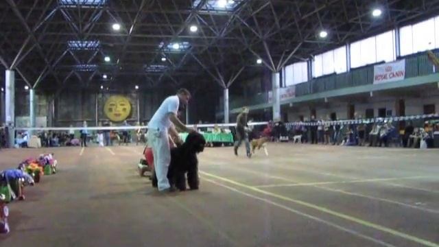 13 октября CAC - Одесса -"Юг-Осень-2013 (2 группа)
