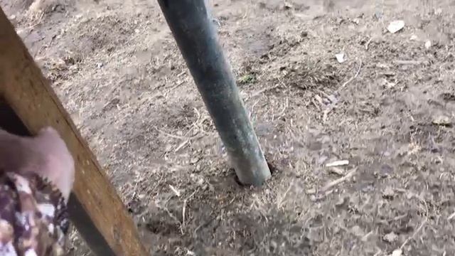 ВСЕ ПОСТАВИЛ
