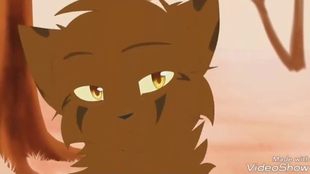 Коты воители Rice