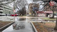 Дождливый и ветреный Первомай будет в Уссурийске