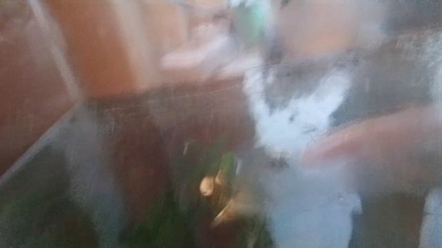 Он действительно может придти в 3:00 ночи поэтому подписавайся😱🫣😶😮😧