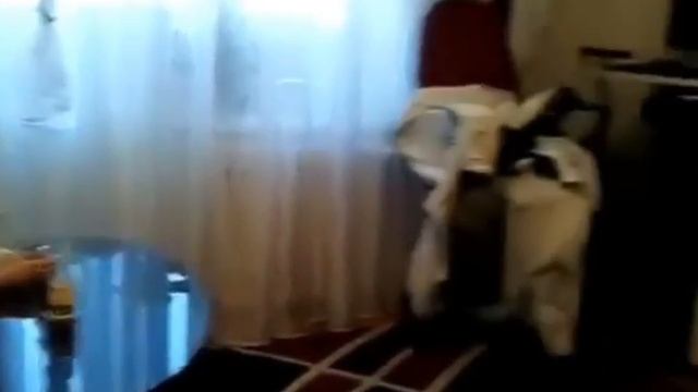 Девочка смотрит.....