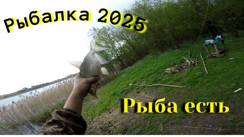 Выезд на рыбалку. Рыбалка 2025. Ловля на донку. Fishing